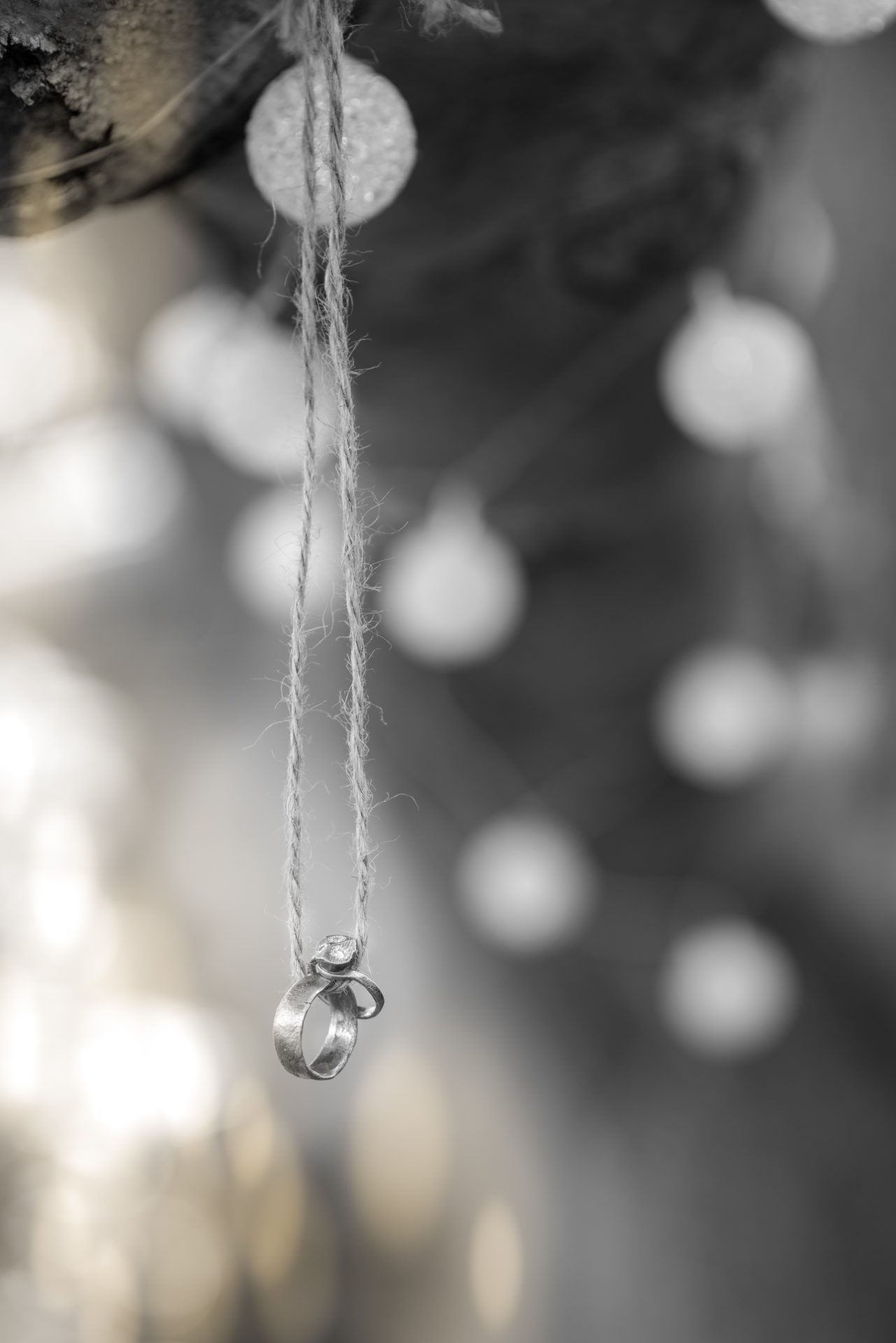 DSC_6819-2